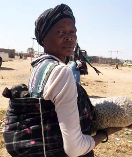 The Dogs Trust - Township Feeding Program